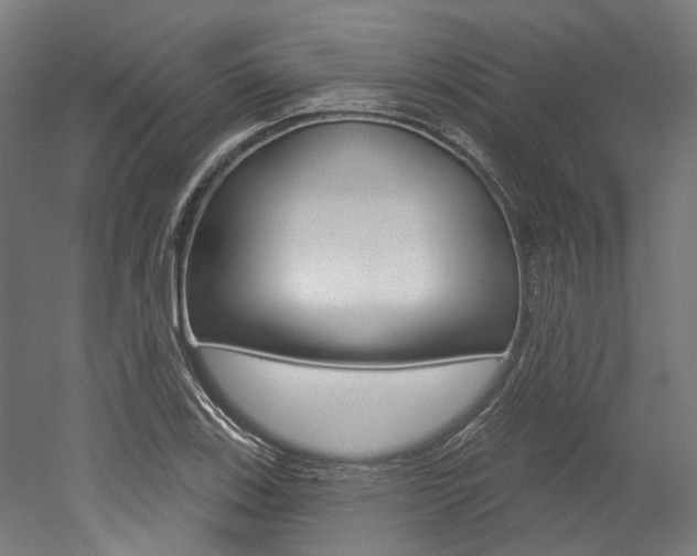 X0000052591123200507010932