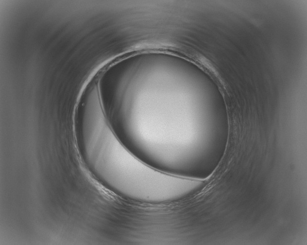 X0000052591124200507010932