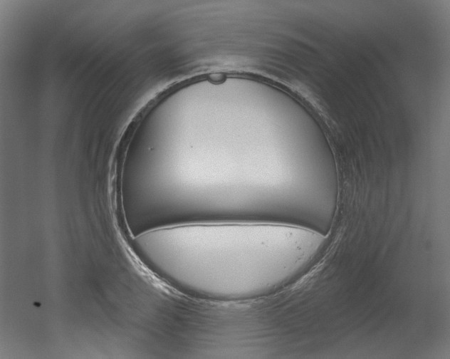 X0000052591126200507010932