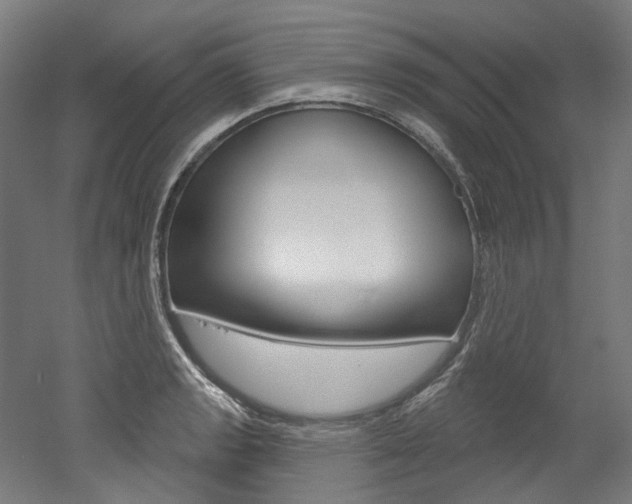 X0000052591133200507010932