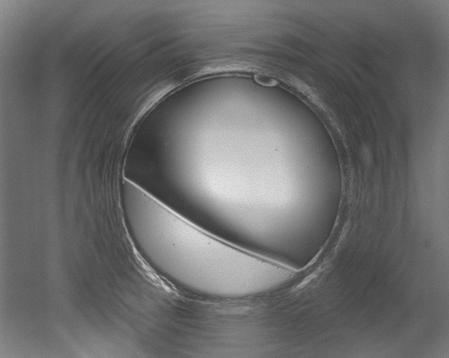 X0000052591137200507010933