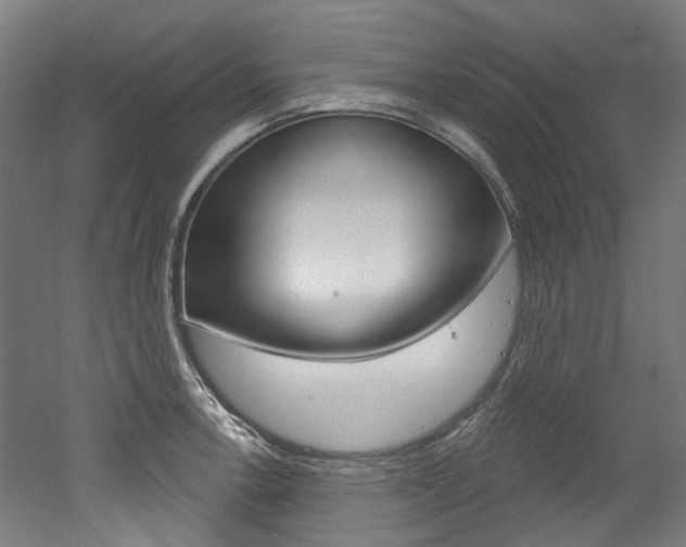 X0000052591138200507010933