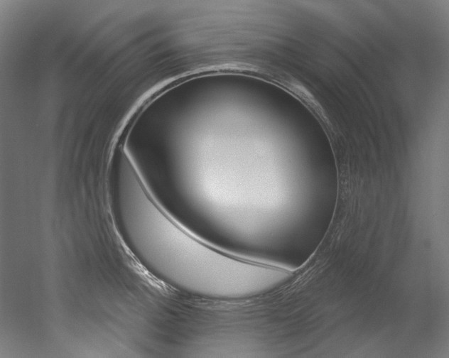 X0000052591140200507010933