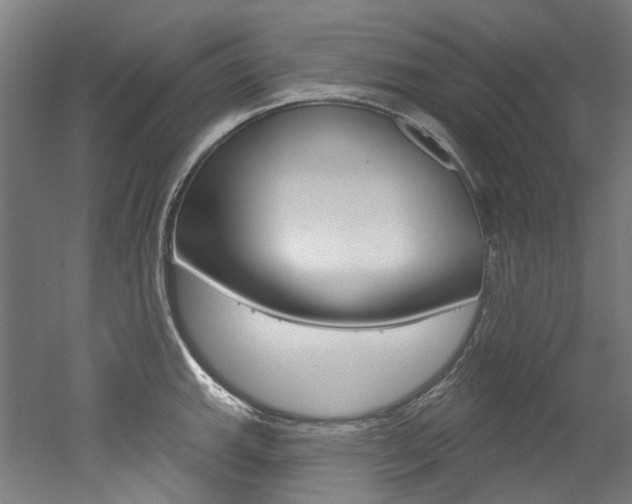 X0000052591143200507010933