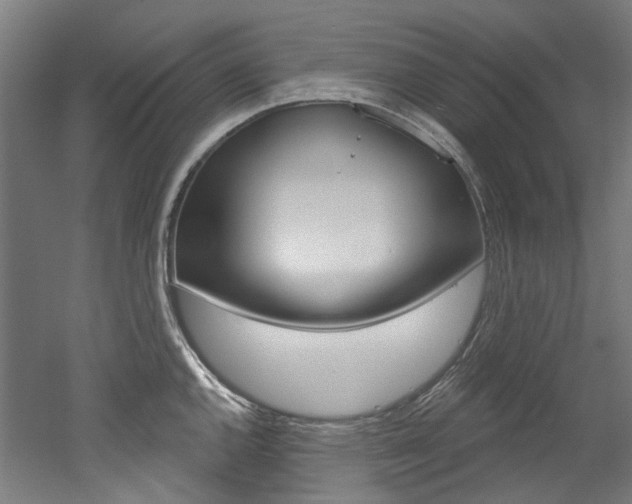 X0000052591144200507010933