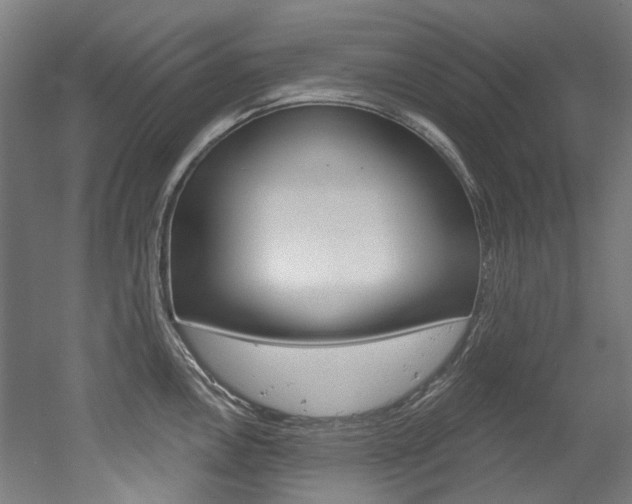 X0000052591146200507010933