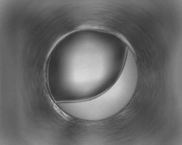 X0000052591148200507010933