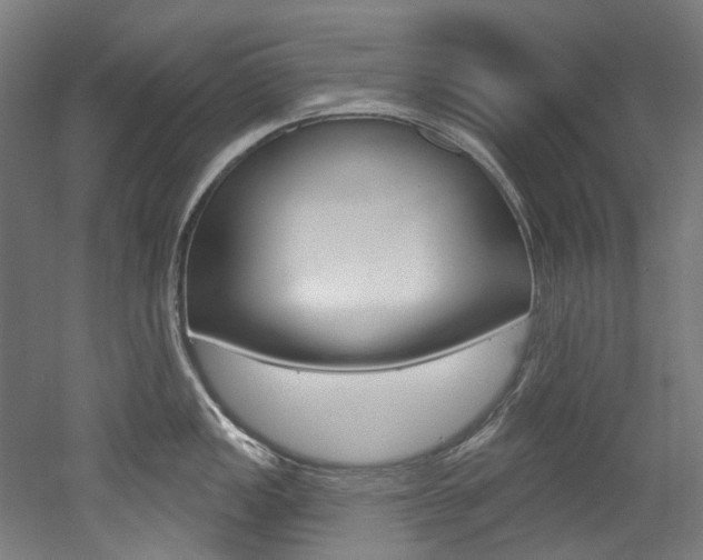 X0000052591149200507010933