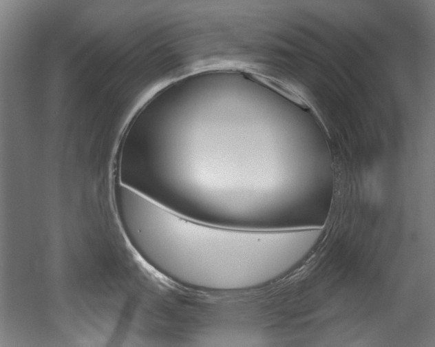 X0000052591151200507010933