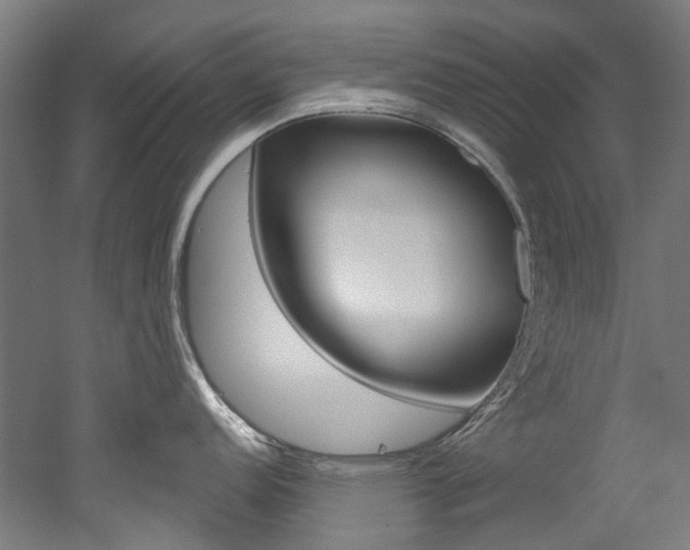 X0000052591152200507010933