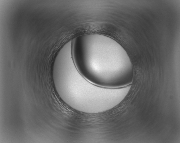 X0000052591153200507010932