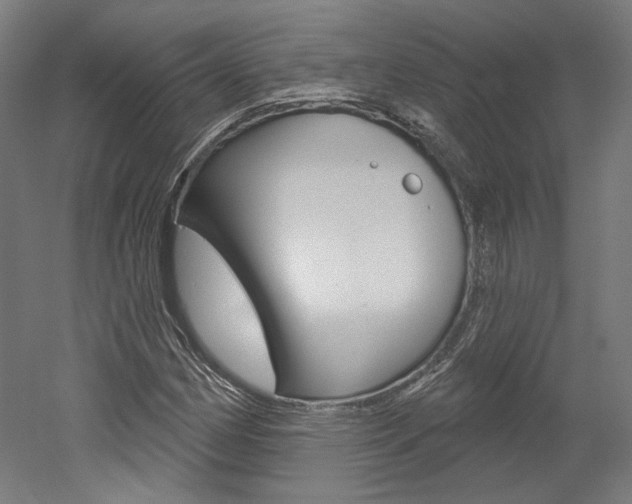 X0000052591162200507010932