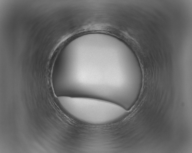 X0000052591166200507010932