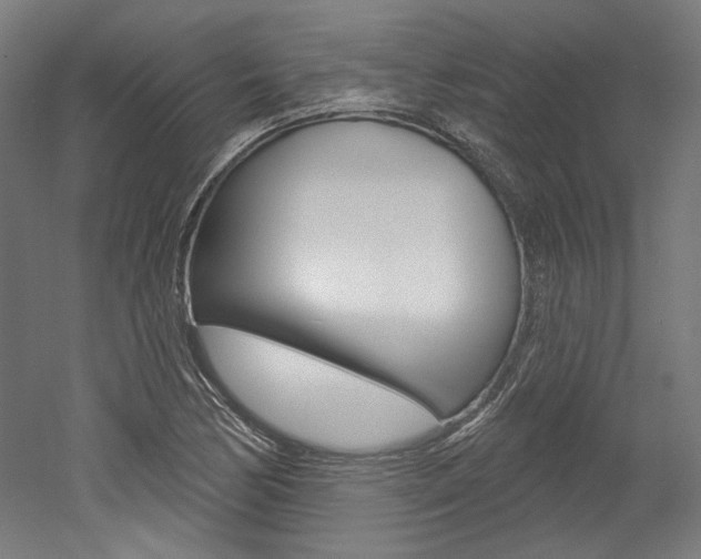 X0000052591170200507010932