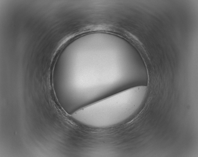 X0000052591174200507010932