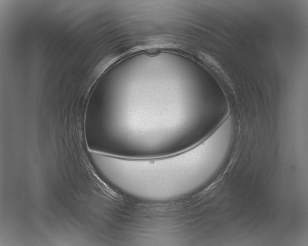 X0000052591177200507010932