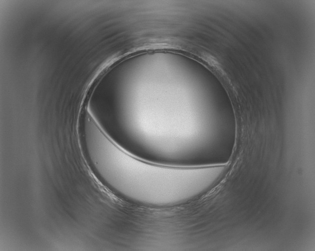 X0000052591181200507010931