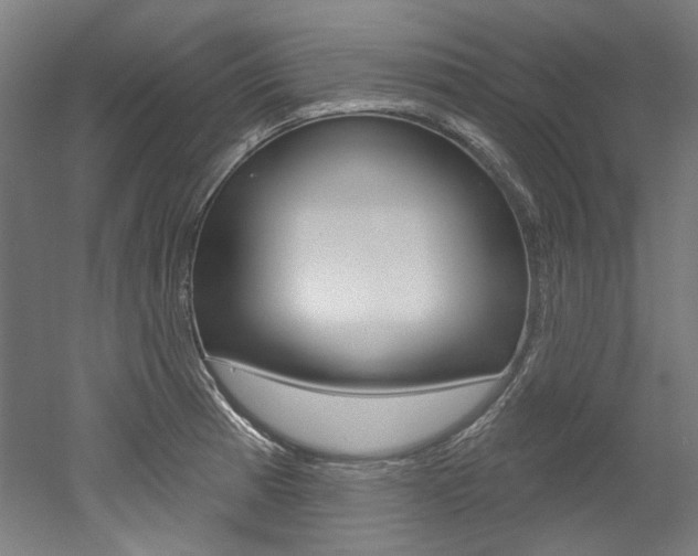 X0000052591185200507010931
