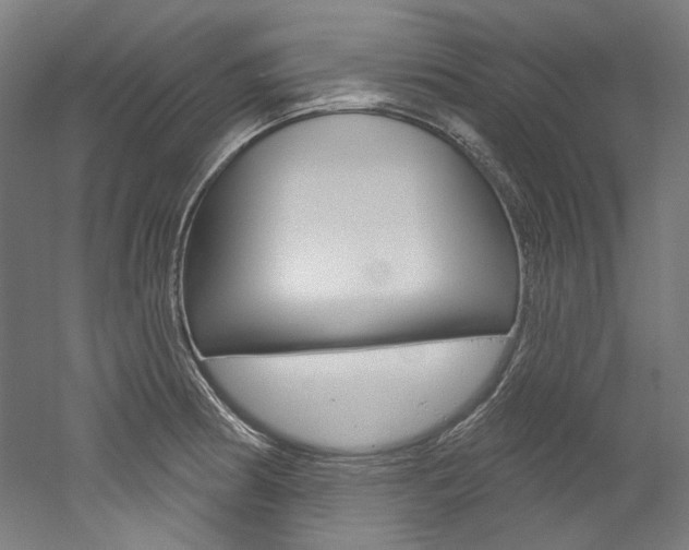 X0000052591186200507010931