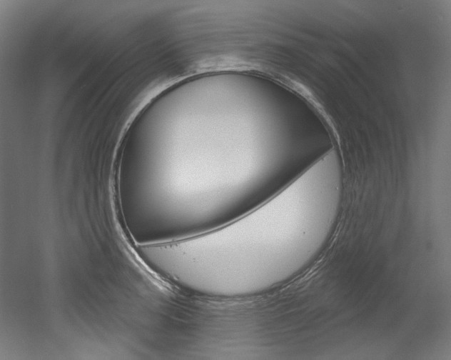 X0000052591187200507010931