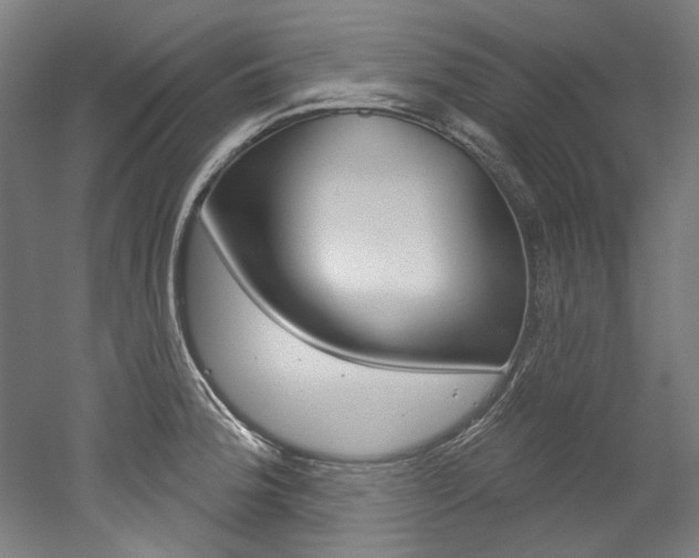 X0000052591188200507010931