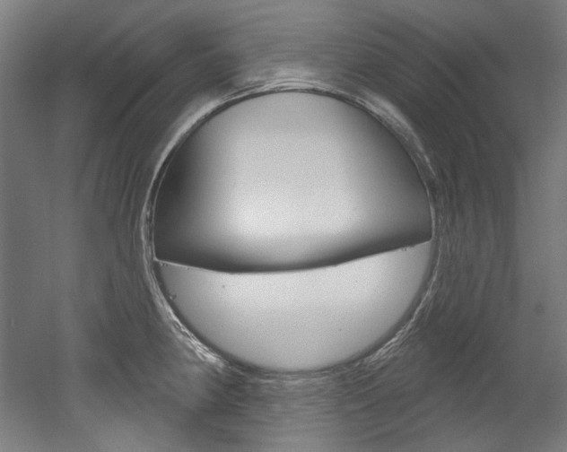 X0000052591190200507010931