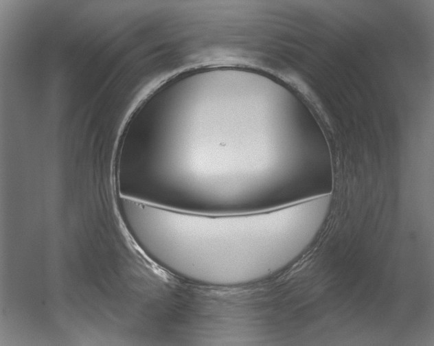 X0000052591191200507010931