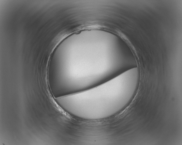 X0000052591194200507010931
