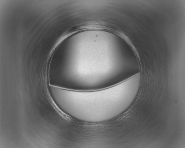 X0000052591195200507010931