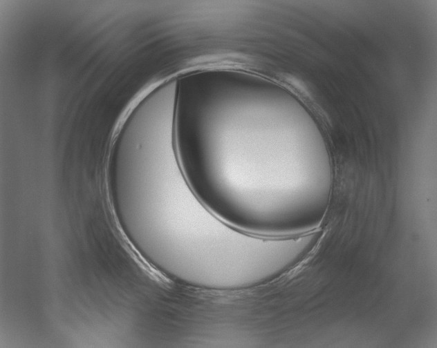 X0000052591196200507010931