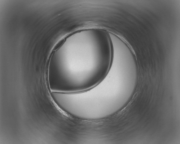 X0000052591197200507010931