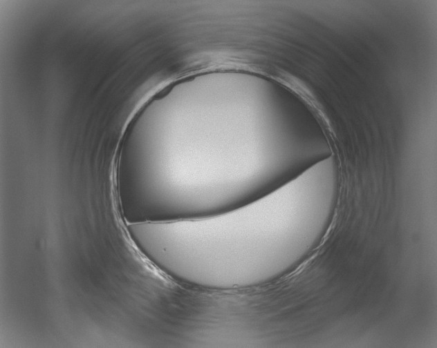 X0000052591198200507010931