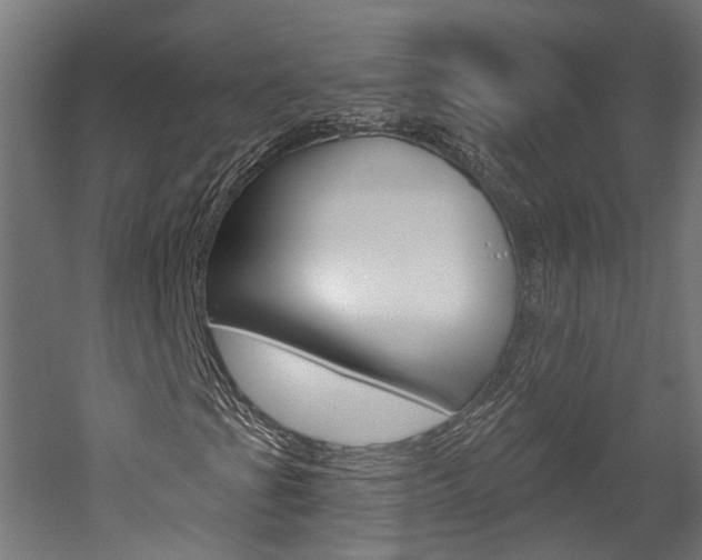 X0000052591201200507010930