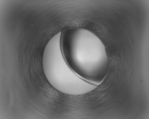 X0000052591202200507010930