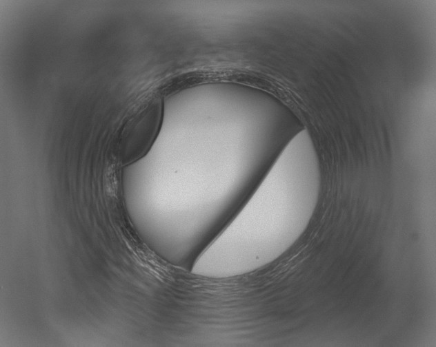 X0000052591204200507010930