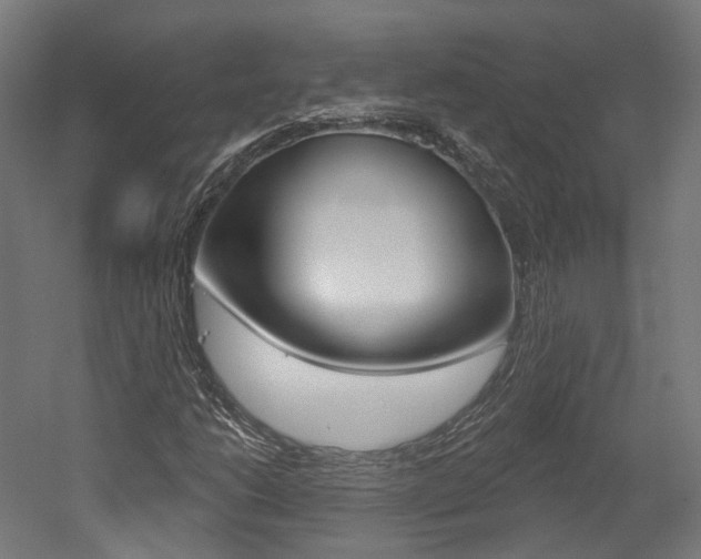 X0000052591206200507010930