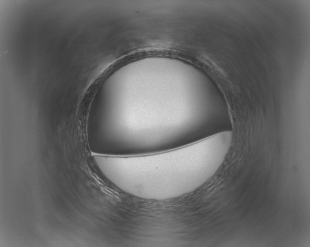 X0000052591208200507010930