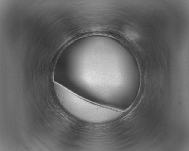 X0000052591209200507010930