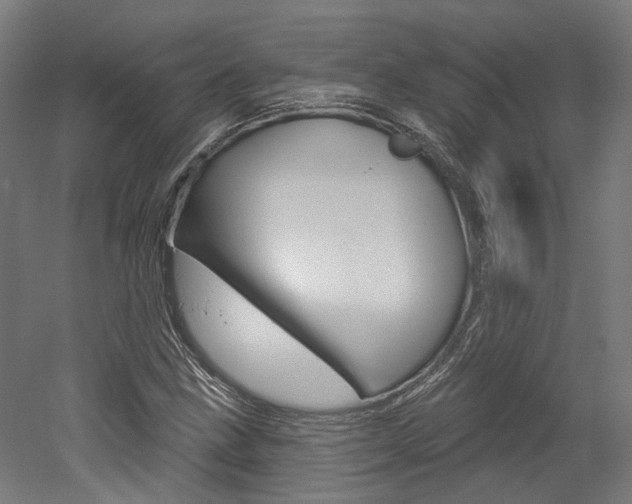 X0000052591211200507010931