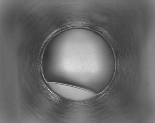 X0000052591212200507010931