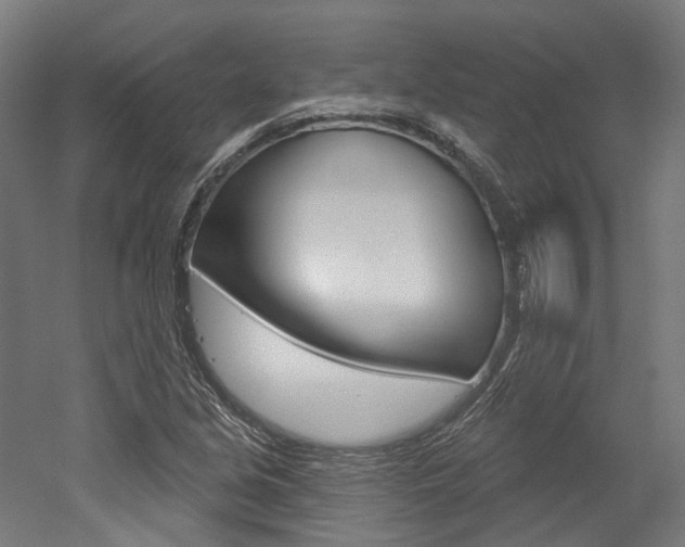 X0000052591213200507010931