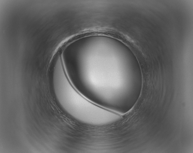 X0000052591214200507010931