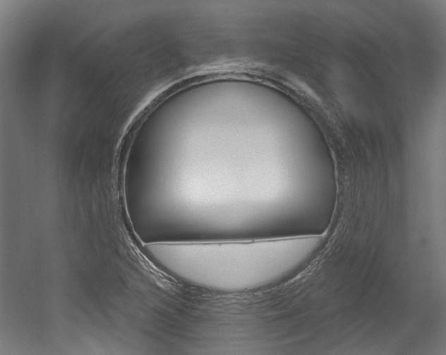 X0000052591216200507010931