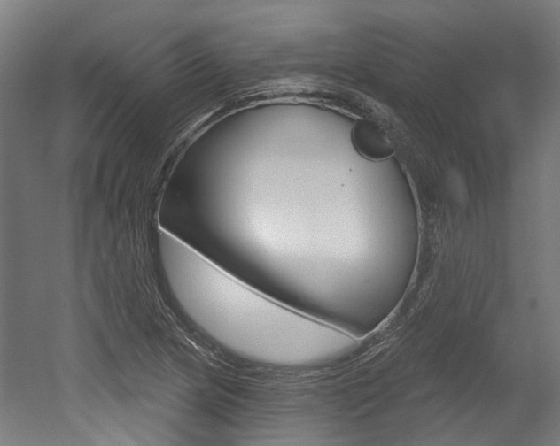 X0000052591217200507010931