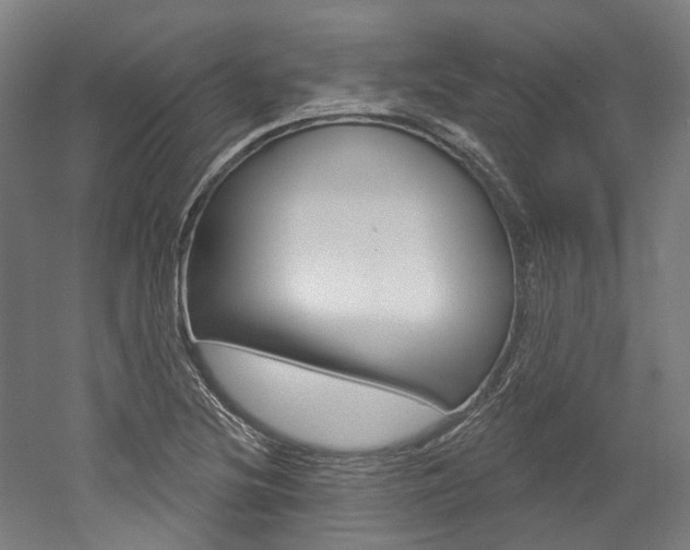 X0000052591220200507010931