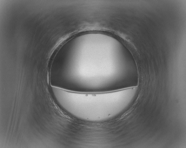 X0000052591221200507010931