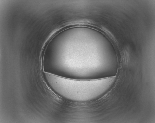 X0000052591224200507010931