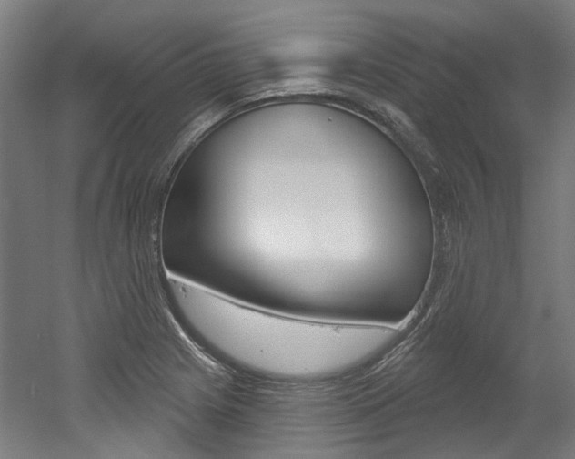 X0000052591225200507010931