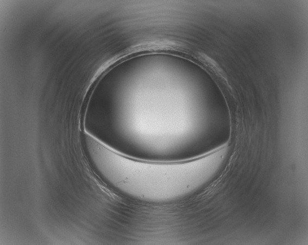 X0000052591226200507010931