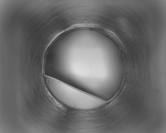 X0000052591228200507010931